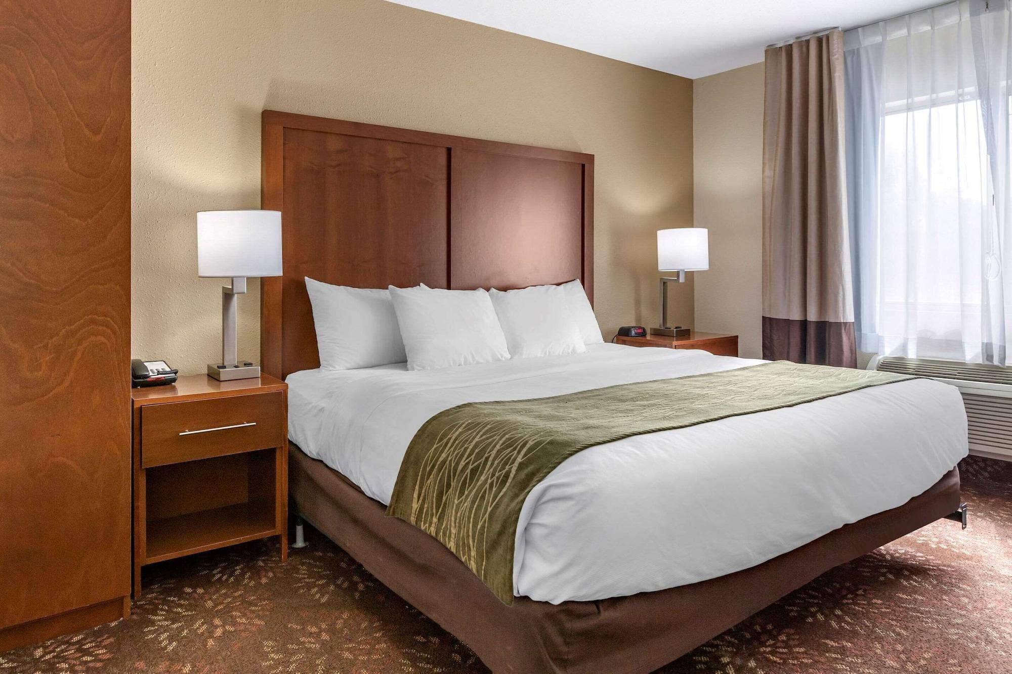 Comfort Inn Okemos - East Lansing Extérieur photo