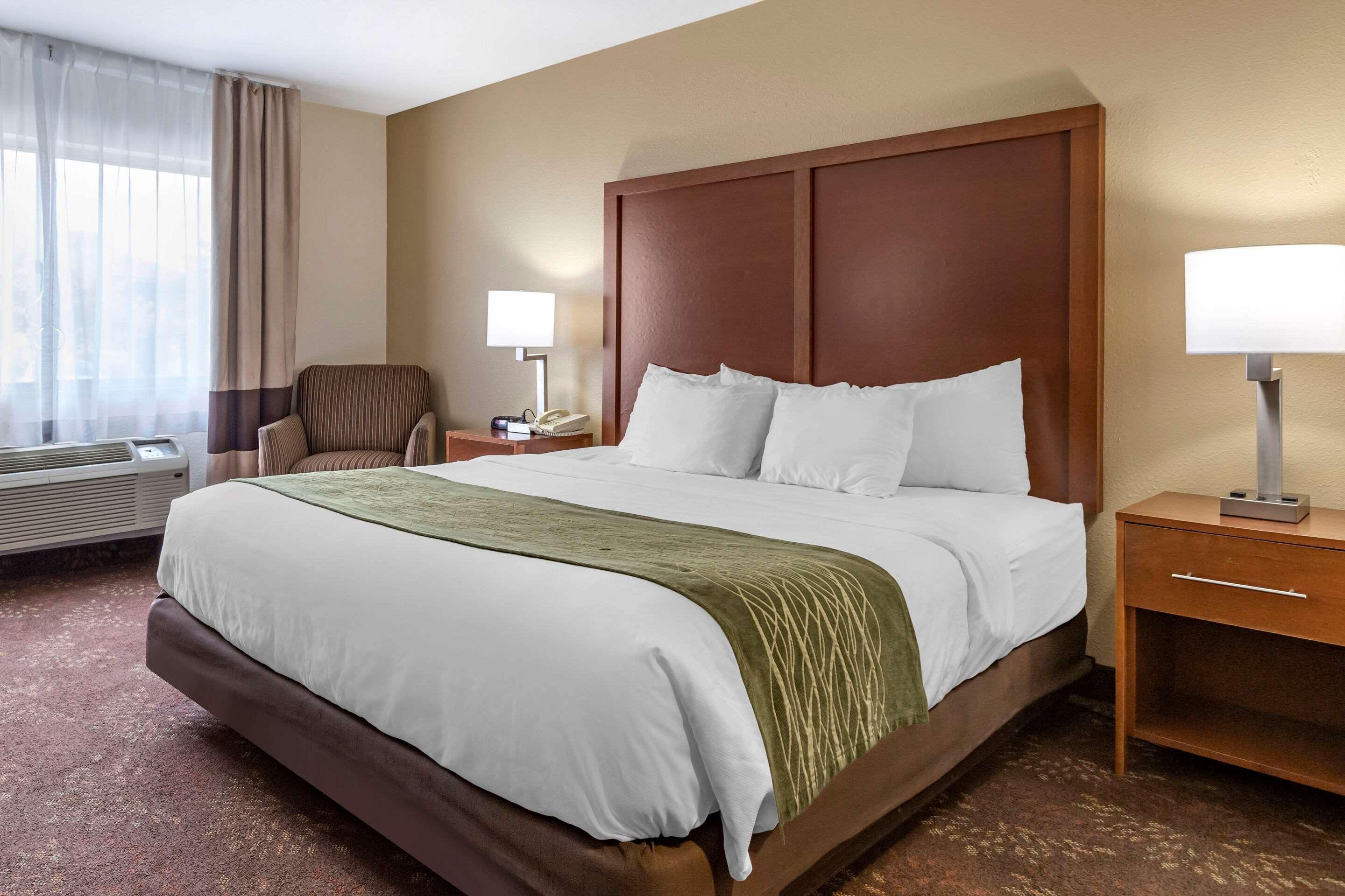 Comfort Inn Okemos - East Lansing Extérieur photo
