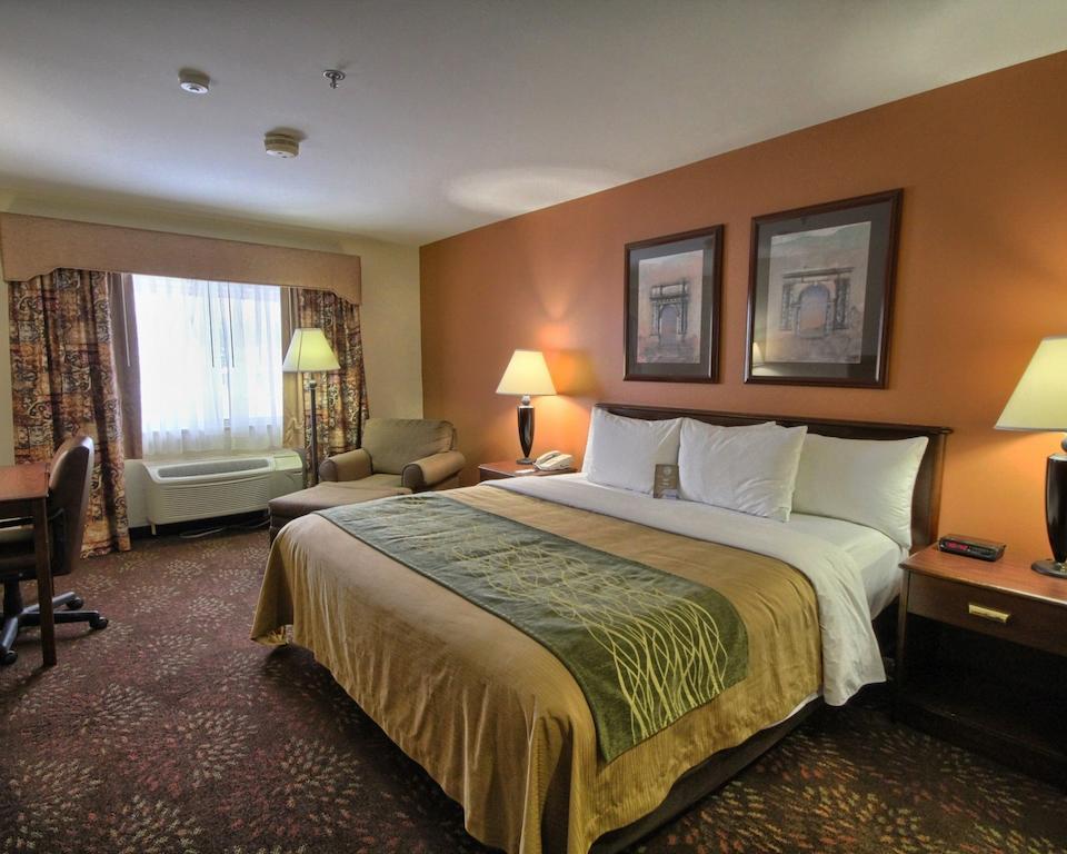 Comfort Inn Okemos - East Lansing Extérieur photo
